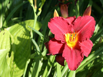 Toon details van Pardon Me Afbeeldingen van Pardon Me