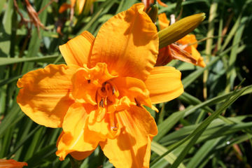 Toon details van Three Tiers Afbeeldingen van Three Tiers