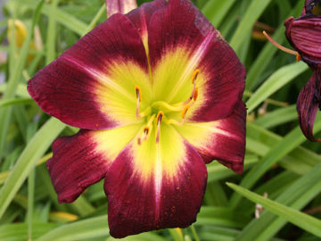 Toon details van Night Beacon Afbeeldingen van Night Beacon