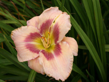 Toon details van Mort's Masterpiece Afbeeldingen van Mort's Masterpiece