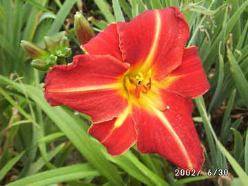 Toon details van Norton Hall Afbeeldingen van Norton Hall