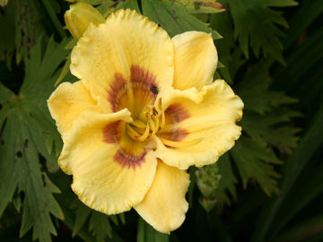 Toon details van Optical Art Afbeeldingen van Optical Art