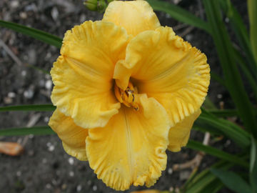 Toon details van Lake Country Sunshine Afbeeldingen van Lake Country Sunshine