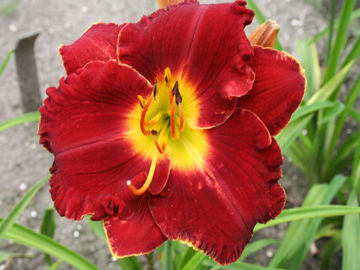 Toon details van It Is Finished Afbeeldingen van It Is Finished