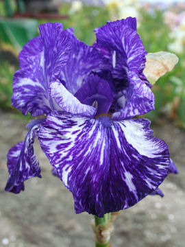 Toon details van Batik Afbeeldingen van Batik