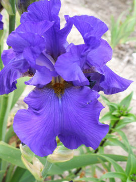 Toon details van Intuition Afbeeldingen van Intuition