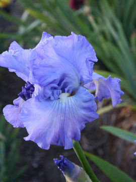 Toon details van Inland Passage Afbeeldingen van Inland Passage