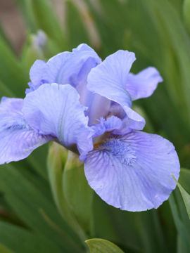 Toon details van Eramosa Skies Afbeeldingen van Eramosa Skies