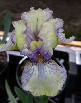 Toon details van Graph Afbeeldingen van Graph