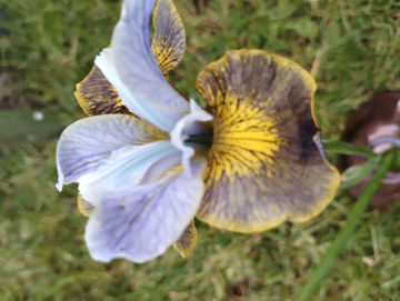 Toon details van Uncorked Afbeeldingen van Uncorked