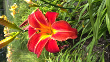 Toon details van Chewonki Afbeeldingen van Chewonki