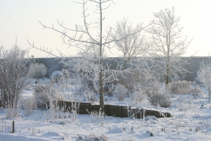 sneeuw-showtuin